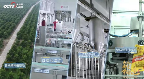 透明工廠再揭面紗 央視鏡頭下的洽洽，如何以技術內核引領堅果行業新鮮革命